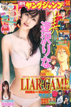 红楼艳梦肉版